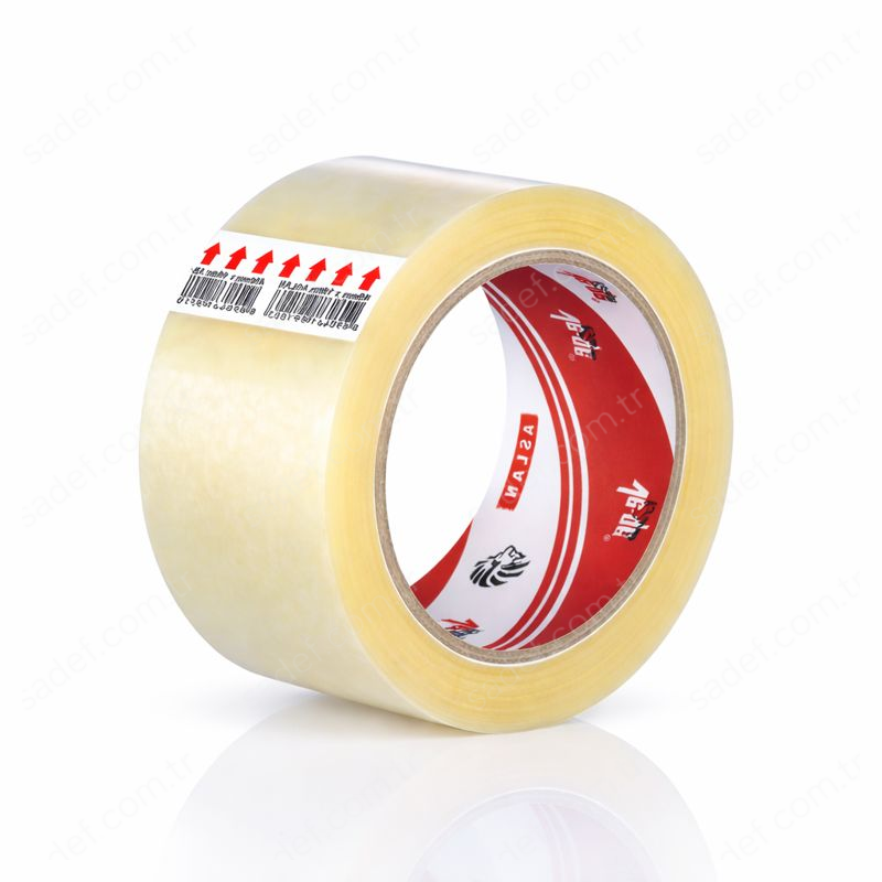 ASLAN VEGE 45X100 KOLİ BANT ŞEFFAF 48 ADET