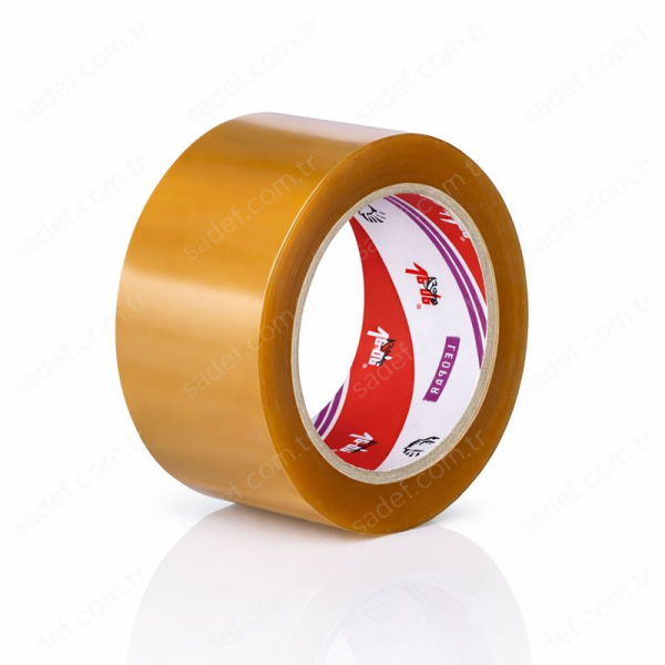 LEOPAR VEGE 45X100 KOLİ BANT ŞEFFAF 48 ADET