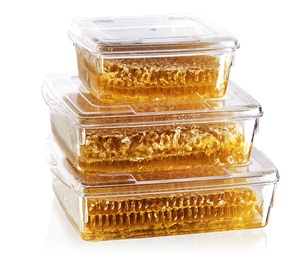 MAY230 KRİSTAL 250 CC KAPAKLI KÜÇÜK BOY BAL KASE ŞEFFAF 460 ADET