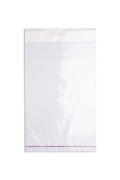 18X20 ASKILI BANTLI OPP TORBA