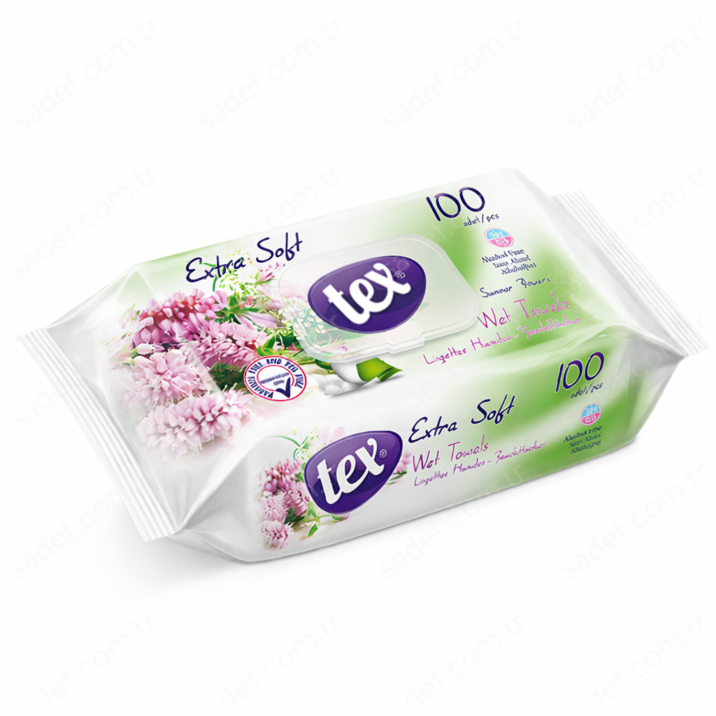 TEX ISLAK MENDİL 100 AD X 24 PK