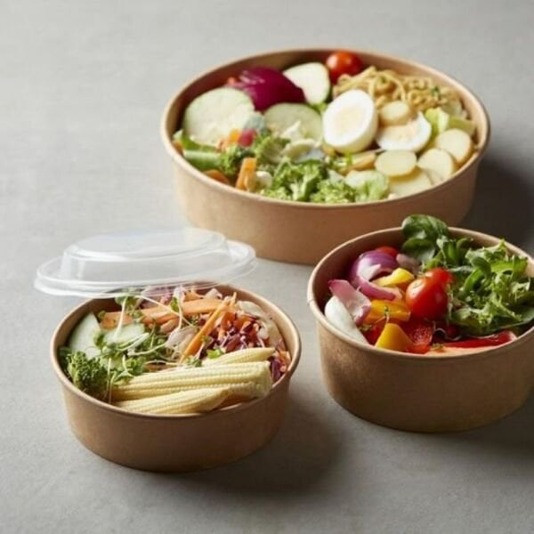 KRAFT ARNES 500 CC BASKISIZ KARTON SALATA KASE 500 ADET