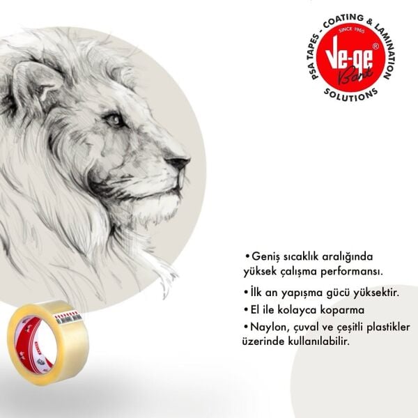 ASLAN VEGE 45X100 KOLİ BANT ŞEFFAF 48 ADET