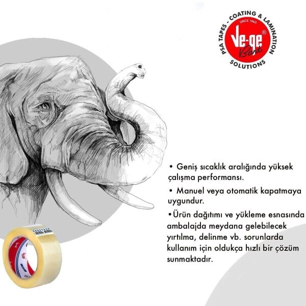FİL VEGE 45X100 KOLİ BANT ŞEFFAF 48 ADET