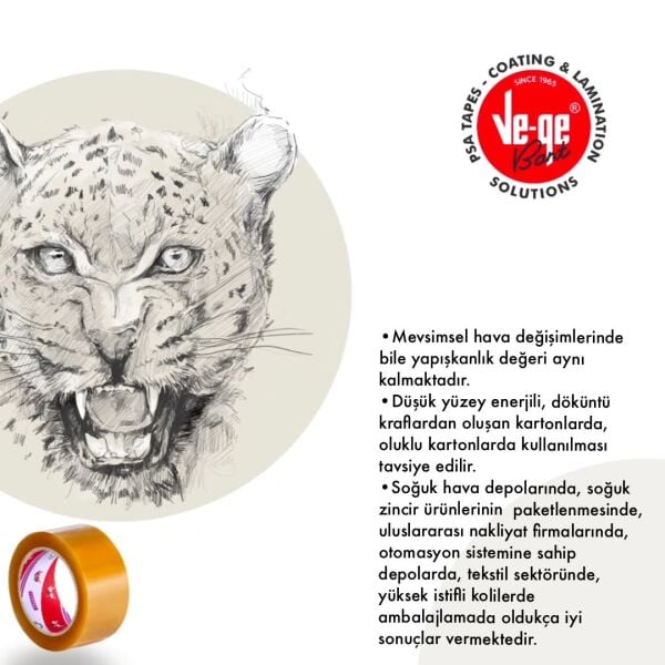LEOPAR VEGE 45X100 KOLİ BANT ŞEFFAF 48 ADET