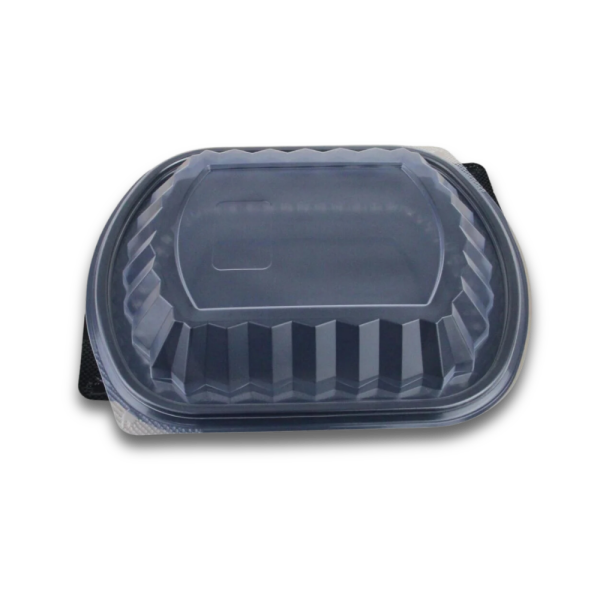 TAKIM TEK BÖLMELİ MICROWAVE GÖVDE + KAPAK ÖZGE 200 ADET