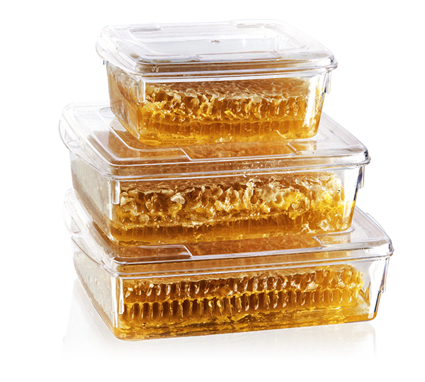 MAY230 KRİSTAL 250 CC KAPAKLI KÜÇÜK BOY BAL KASE ŞEFFAF 460 ADET