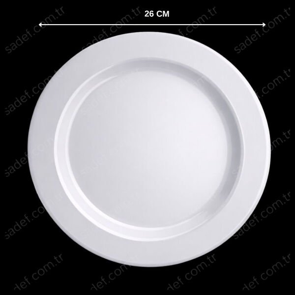 26 CM PORSELEN GÖRÜNÜMLÜ PS BEYAZ SİLVERLİNE BASKILI 6 AD