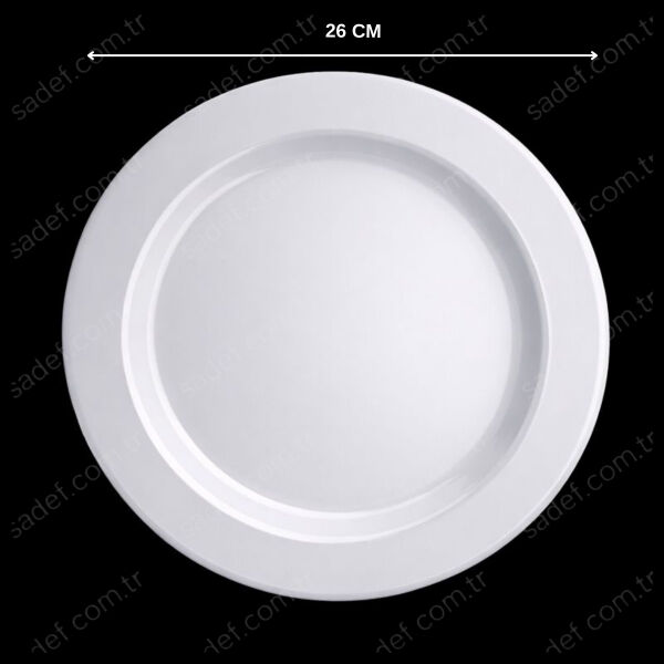 26 CM PORSELEN GÖRÜNÜMLÜ PS BEYAZ SİLVERLİNE BASKILI 6 AD X 20 PAKET